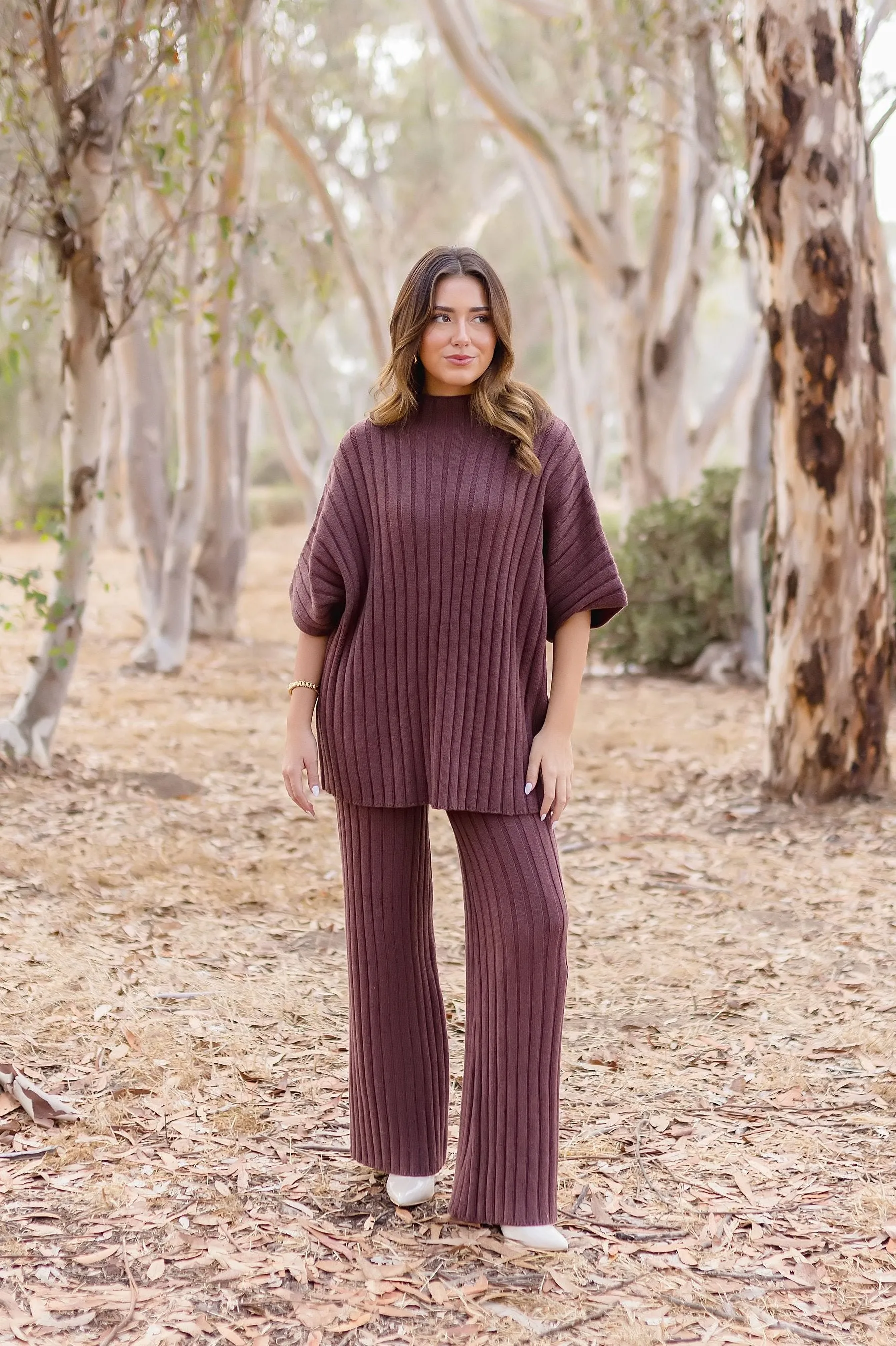 Mandi Short Sleeve Mock Neck Ribbed Sweater Top And Pants Set Brown