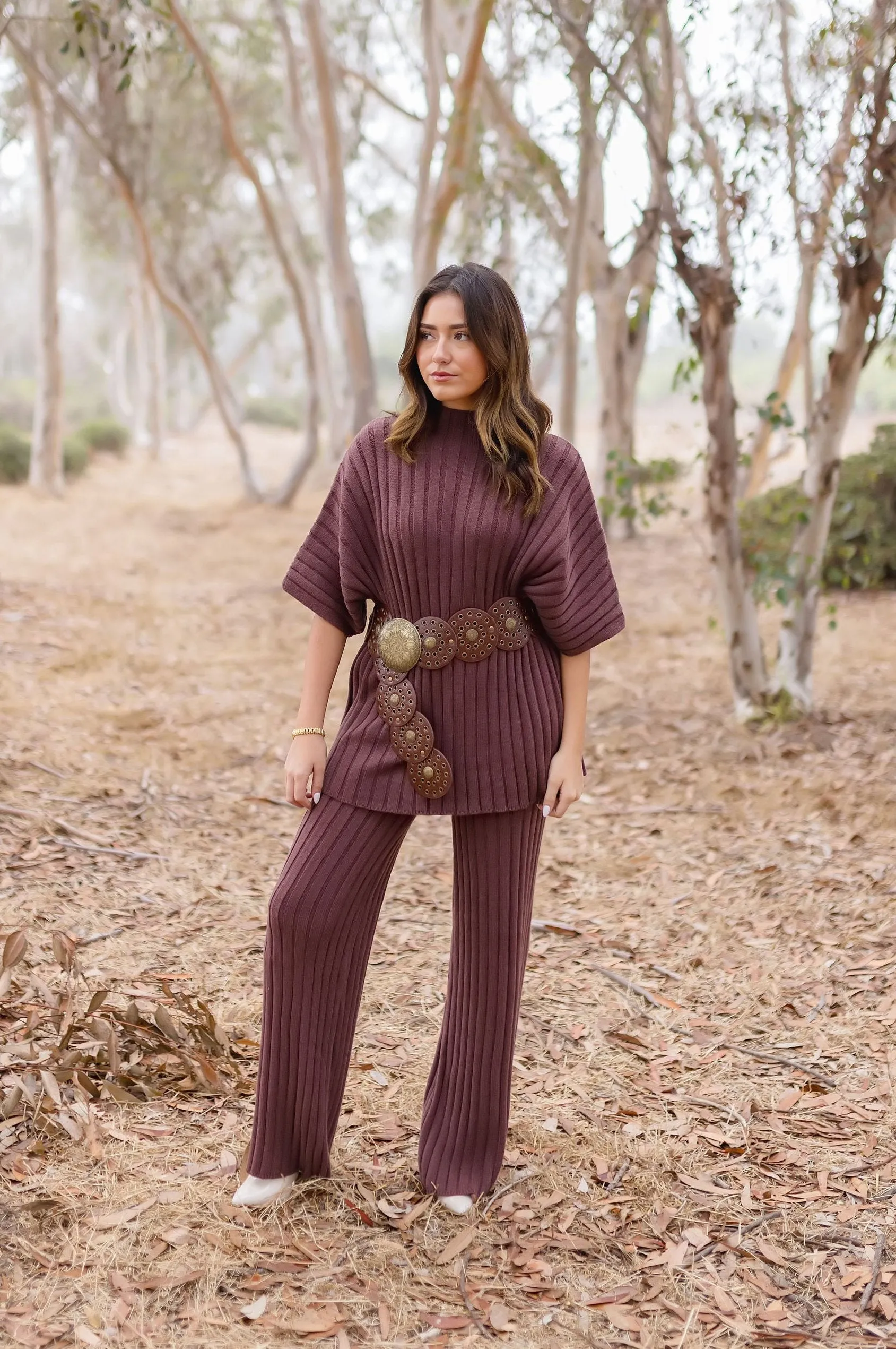 Mandi Short Sleeve Mock Neck Ribbed Sweater Top And Pants Set Brown